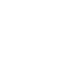 feature-icon